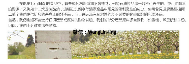 在线客服(微信号：WangLin-ling)