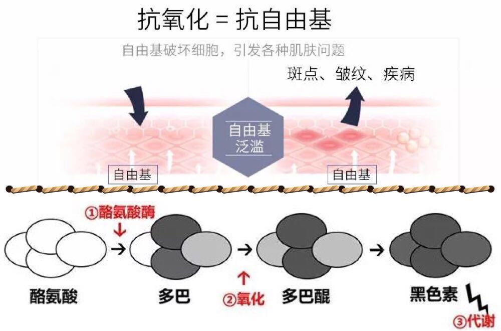 在线客服(微信号：WangLin-ling)