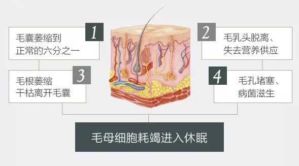 琳玲港货