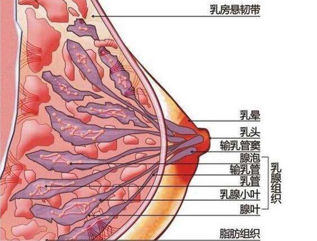 琳玲港货