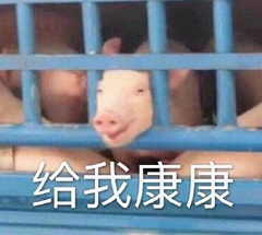 琳玲港货