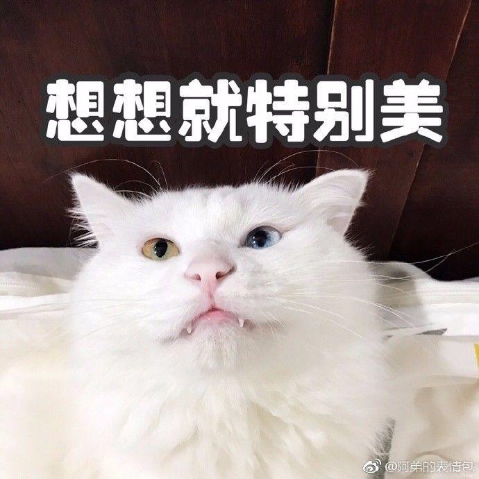 琳玲港货