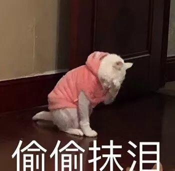 琳玲港货