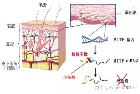 琳玲港货