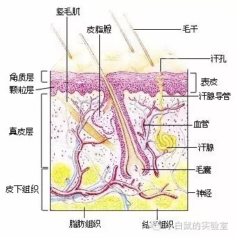 琳玲港货