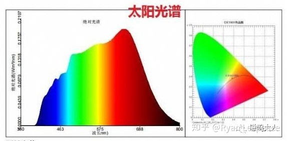 琳玲港货