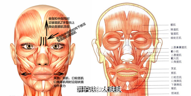 琳玲港货