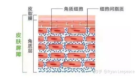 琳玲港货