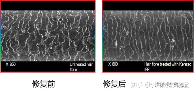 琳玲港货