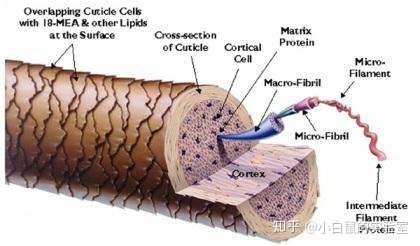 琳玲港货