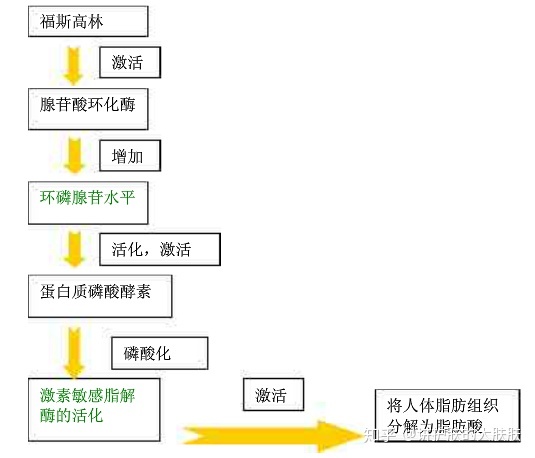 琳玲港货