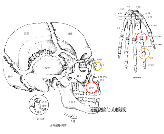 琳玲港货