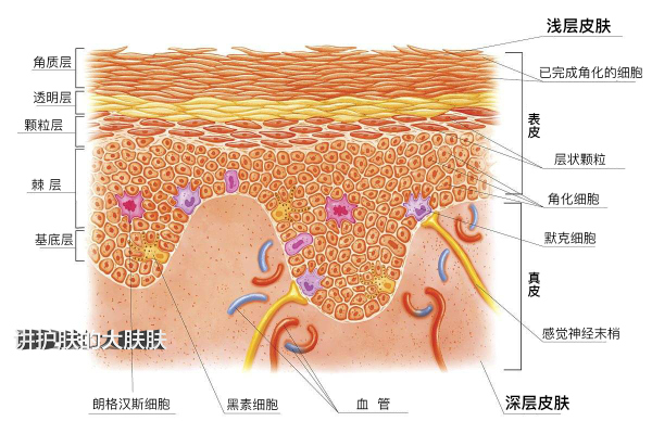 琳玲港货