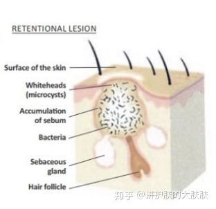 琳玲港货