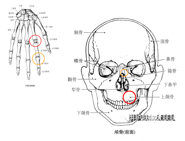 琳玲港货