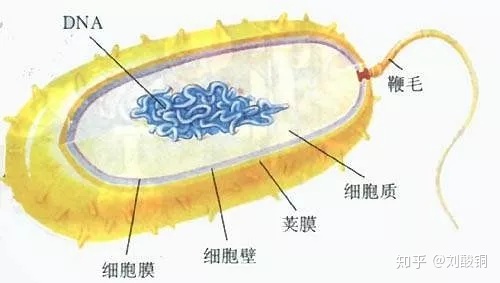 琳玲港货