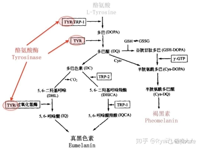 琳玲港货