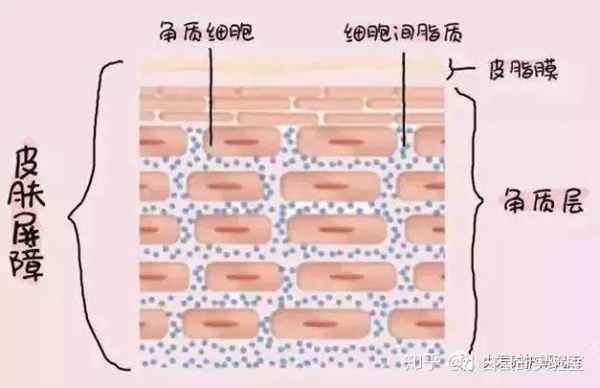 琳玲港货