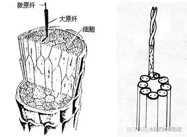 琳玲港货