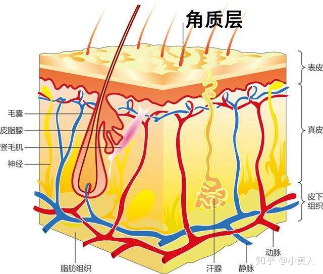 琳玲港货