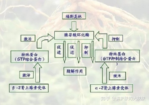 琳玲港货